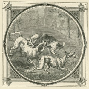The dogs and the bone