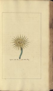A page from the 