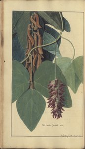 A page from the 