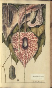 A page from the 