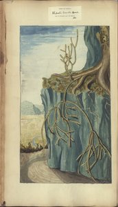 A page from the 