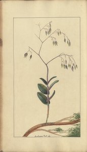 A page from the 