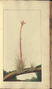 A page from the 