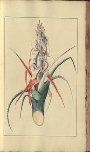 A page from the 