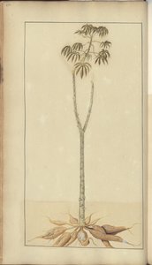 A page from the 