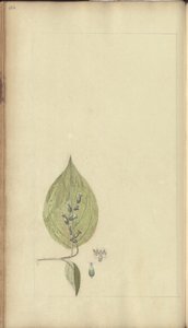 A page from the 