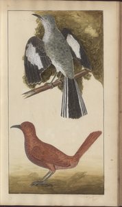 A page from the 