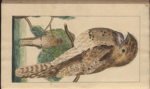 A page from the 