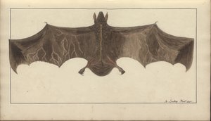 A page from the 