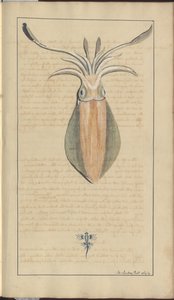 Lindsay Drawings Vol. VII, 29 by John Lindsay