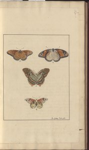 Lindsay Drawings Vol. VI, 30 by John Lindsay