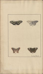 Lindsay Drawings Vol. VI, 35 by John Lindsay