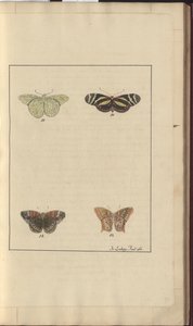 Lindsay Drawings Vol. VI, 36 by John Lindsay