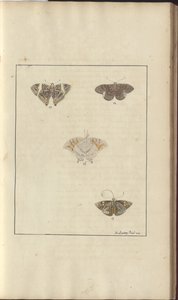 Lindsay Drawings Vol. VI, 42 by John Lindsay