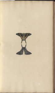 Lindsay Drawings Vol. VI, 48 by John Lindsay