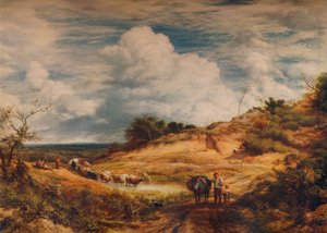 The Sandpits