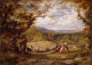 The Sheep Drive