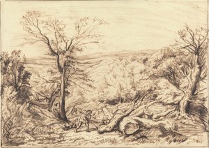 Woodcutters in a Forest