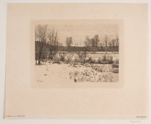 Bøllemosen