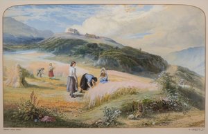 Harvest Field, Arran by John MacWhirter