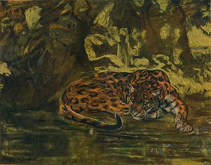 A Jaguar