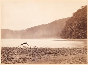 Tropical Scenery: The Terminus of the Proposed Canal, Limon Bay (Darien Expedition) by John Moran