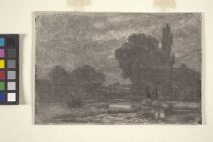 Marshy Landscape