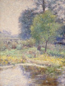 Spring Landscape