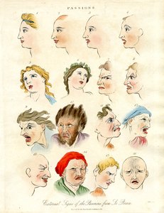 External Signs of the Passions from Le Brun
