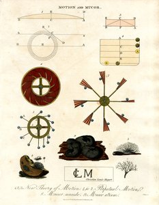 Theory of Motion and Mucor Fungi