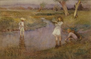 Catching Minnows - Town Meadows, Maidstone, Kent
