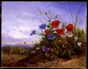 Wild Flowers on a Bank