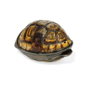 George III Terrapin Snuff Box