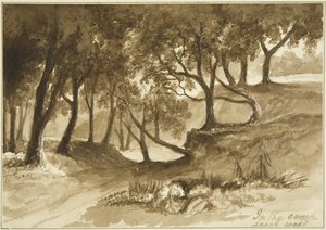 View in the Burwalls Camp, Leigh Woods by John Reverend Eden