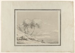 Birch