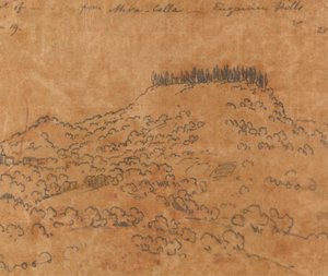 From Mirabella, Euganean Hills, June 19
