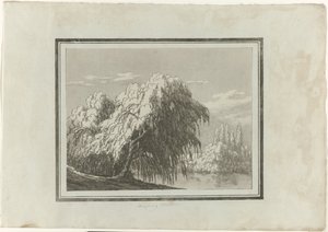 Weeping Willow