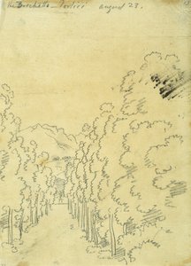 Woodland, from an Album of Tracings