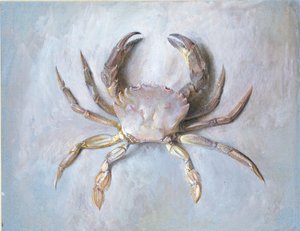 Study of a Velvet Crab, probably autumn 1870 by John Ruskin