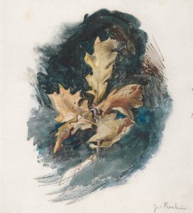 Study of an Oak Leaf