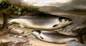 Fish Still Life by John Russell