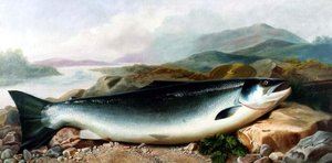 Still Life of a Salmon on a Riverbank in a Mountainous Landscape by John Russell