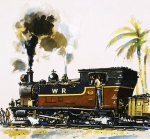 Narrow Gauge WT Class Bagnall-built Tank Engine on the Western Railways