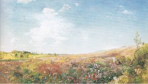 Summer Landscape