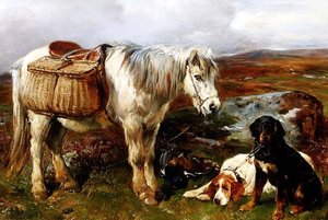Highland Pony with Dogs