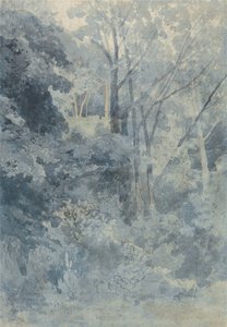 In Rokeby Park by John Sell Cotman