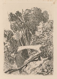 Parsons Bridge, Cardingshire, 1838 by John Sell Cotman