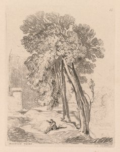 Liber Studiorum: Plate 18, Trees at Norwich Thorp, Norfolk by John Sell Cotman