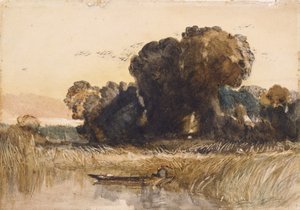 Punt Among Reeds