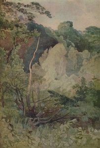 Trees Near The Greta River